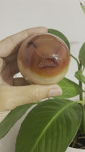 Cargar y reproducir el video en el visor de la galería, Druzy Carnelian Agate Sphere 70mm w/ Wood Stand 