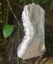 Cargar imagen en el visor de la galería, Extra Large Amethyst Cluster Geoda 7"x5"