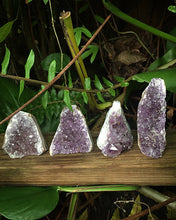 Cargar imagen en el visor de la galería, Amethyst Based Cut Cluster Geodas 4”
