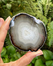 Cargar imagen en el visor de la galería, Agate Polished Slabs 3”