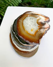 Cargar imagen en el visor de la galería, Agate Polished Slabs 3”