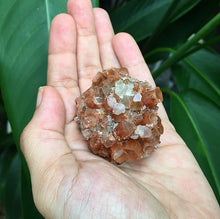 Cargar imagen en el visor de la galería, Argonite Clusters