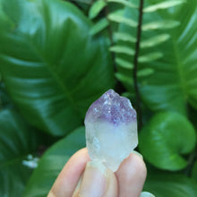 Cargar imagen en el visor de la galería, Amethyst Raw Points