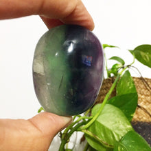 Cargar imagen en el visor de la galería, Fluorite Jumbo Palmstone