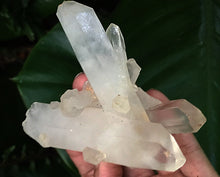 Cargar imagen en el visor de la galería, Crystal Quartz Clusters