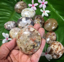 Cargar imagen en el visor de la galería, Flower Agate Palm Stones