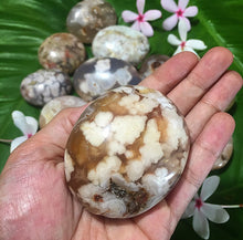 Cargar imagen en el visor de la galería, Flower Agate Palm Stones