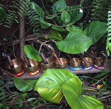 Cargar imagen en el visor de la galería, Tibetan Singing  Bowls