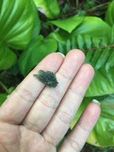 Cargar imagen en el visor de la galería, Moldavite 1.16G