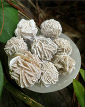 Cargar imagen en el visor de la galería, Desert Rose Selenite Grade A