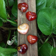 Cargar imagen en el visor de la galería, Carnelian Agate Puffy Hearts 50mm