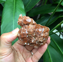 Cargar imagen en el visor de la galería, Argonite Clusters