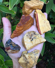 Cargar imagen en el visor de la galería, Petrified Wood