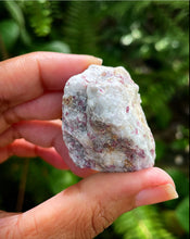 Cargar imagen en el visor de la galería, Pink Tourmaline Rough Stones