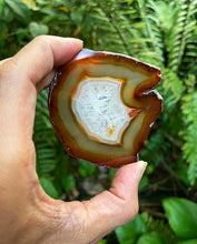 Cargar imagen en el visor de la galería, Agate Polished Slabs 3”