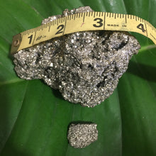 Cargar imagen en el visor de la galería, Pyrite Specimens Clusters