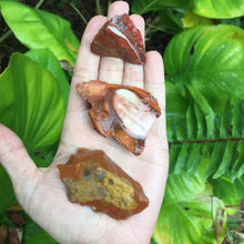 Cargar imagen en el visor de la galería, Red Jasper Raw Chunks