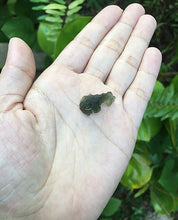 Cargar imagen en el visor de la galería, Moldavite 2.G