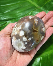 Cargar imagen en el visor de la galería, Flower Agate Palm Stones