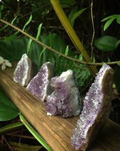Cargar imagen en el visor de la galería, Amethyst Based Cut Cluster Geodas 4”