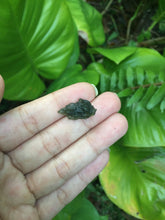 Cargar imagen en el visor de la galería, Moldavite 1.19G