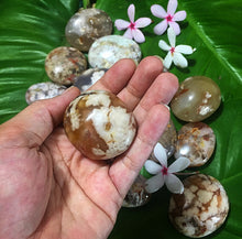 Cargar imagen en el visor de la galería, Flower Agate Palm Stones