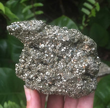 Cargar imagen en el visor de la galería, Pyrite Specimens Clusters
