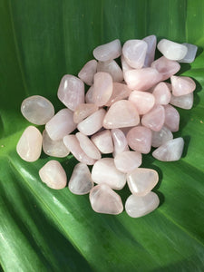 Rose Quartz Small Tumblestones