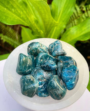 Cargar imagen en el visor de la galería, Apatite Tumblestones