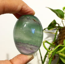 Cargar imagen en el visor de la galería, Fluorite Jumbo Palmstone