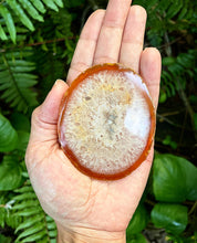 Cargar imagen en el visor de la galería, Agate Polished Slabs 3”