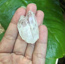 Cargar imagen en el visor de la galería, Crystal Quartz Mini Clusters