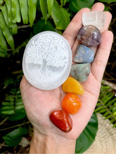 Cargar imagen en el visor de la galería, Selenite Engraved Tree of Life Palm Stone + Chakra Set 7 Crystals