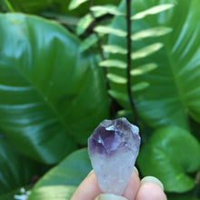 Cargar imagen en el visor de la galería, Amethyst Raw Points
