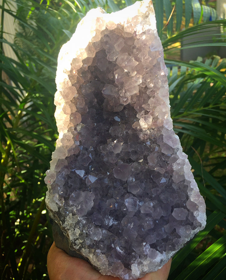 Extra Large Amethyst Cluster Geoda 7