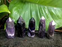 Cargar imagen en el visor de la galería, Amethyst Wand Points
