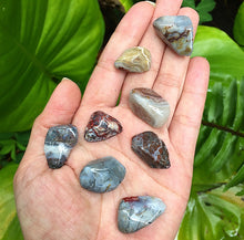 Cargar imagen en el visor de la galería, Crazy Lace Agate Tumblestones
