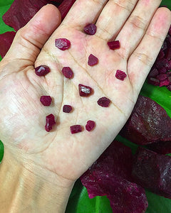 Pigeon Red Blood Ruby Chips