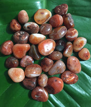 Cargar imagen en el visor de la galería, Carnelian Agate Tumblestones
