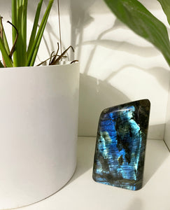 Labradorite Freeform 4.5”