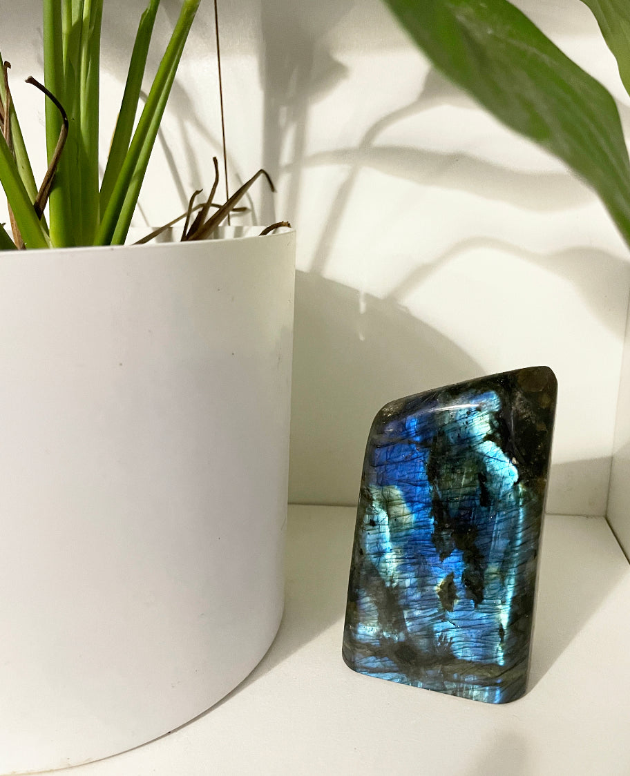 Labradorite Freeform 4.5”
