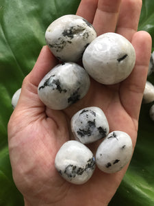 Moonstone Large Polished  Tumblestones