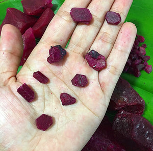 Pigeon Red Blood Ruby Chips