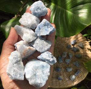 Blue Calcite Rough Chunks