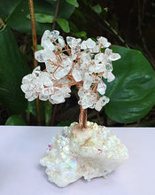 Cargar imagen en el visor de la galería, Clear Quartz Bonsai Tree with Angel Aura Base
