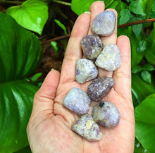 Cargar imagen en el visor de la galería, Lepidolite Tumblestones
