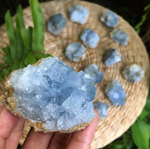 Celestite Cluster