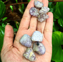 Cargar imagen en el visor de la galería, Lepidolite Tumblestones
