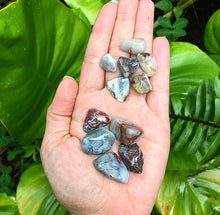 Cargar imagen en el visor de la galería, Crazy Lace Agate Tumblestones
