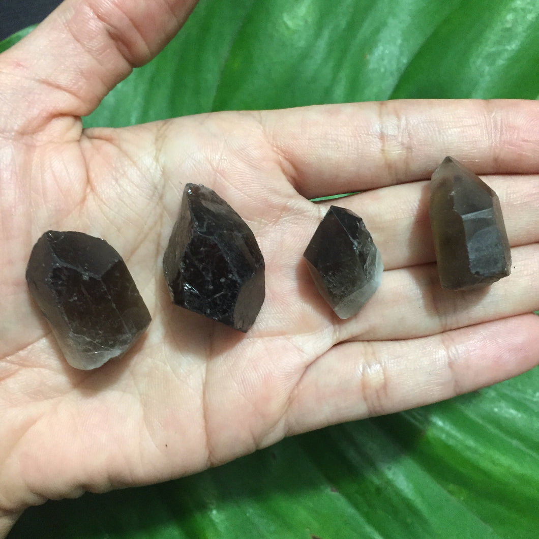 Smoky Quartz Raw Points